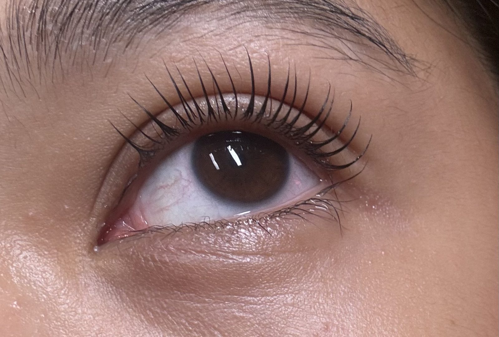 A single eye after a natural lash lift